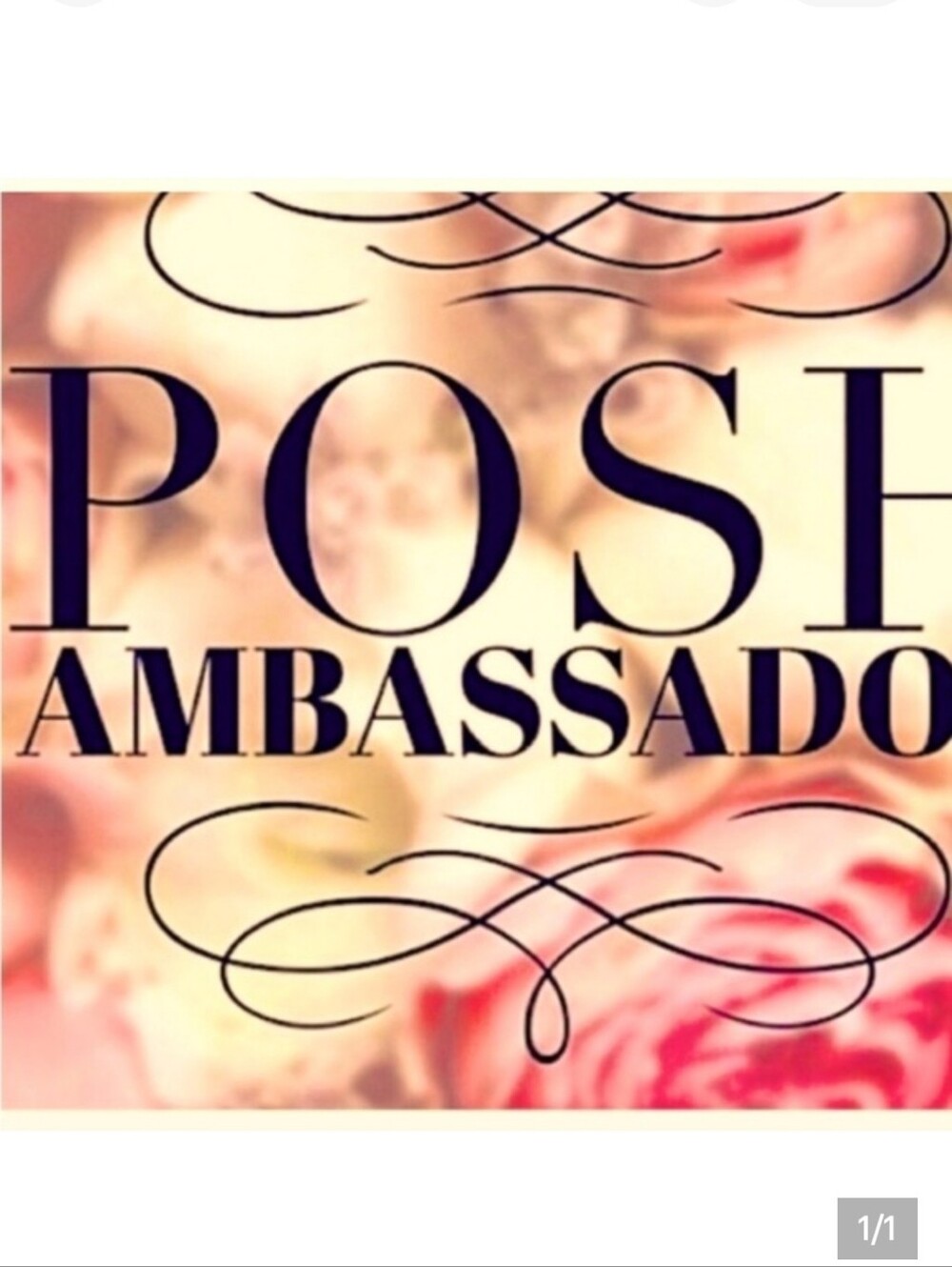 Posh Ambassador